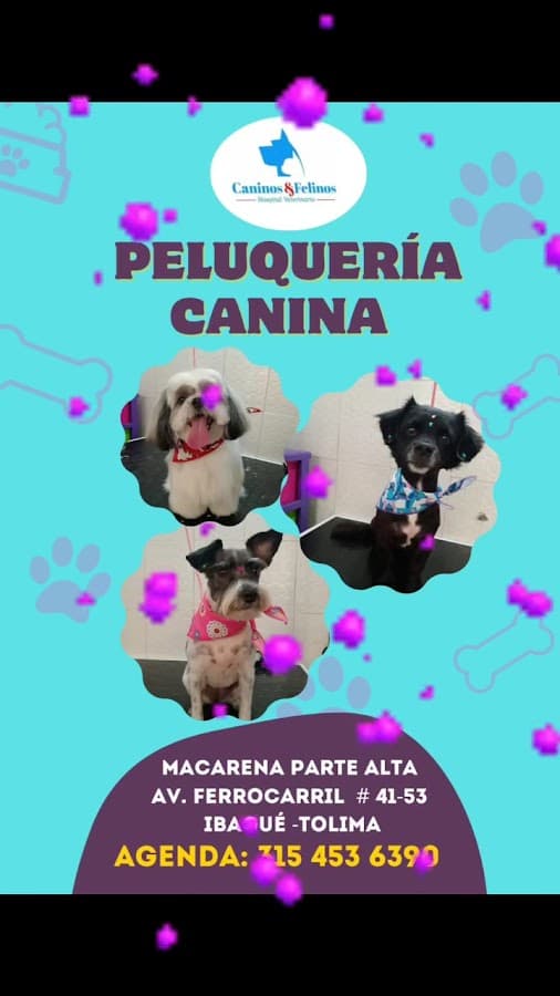 Hospital Veterinario Caninos Y Felinos