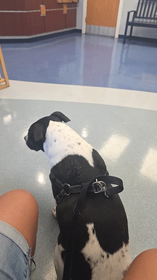 Central Broward Animal Hospital — foto