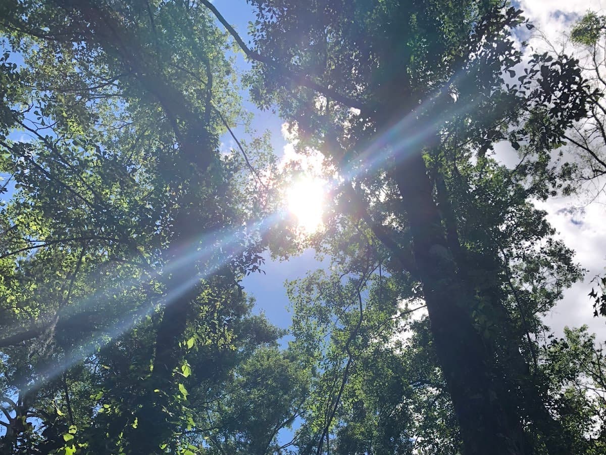 The Mindful Practice — foto