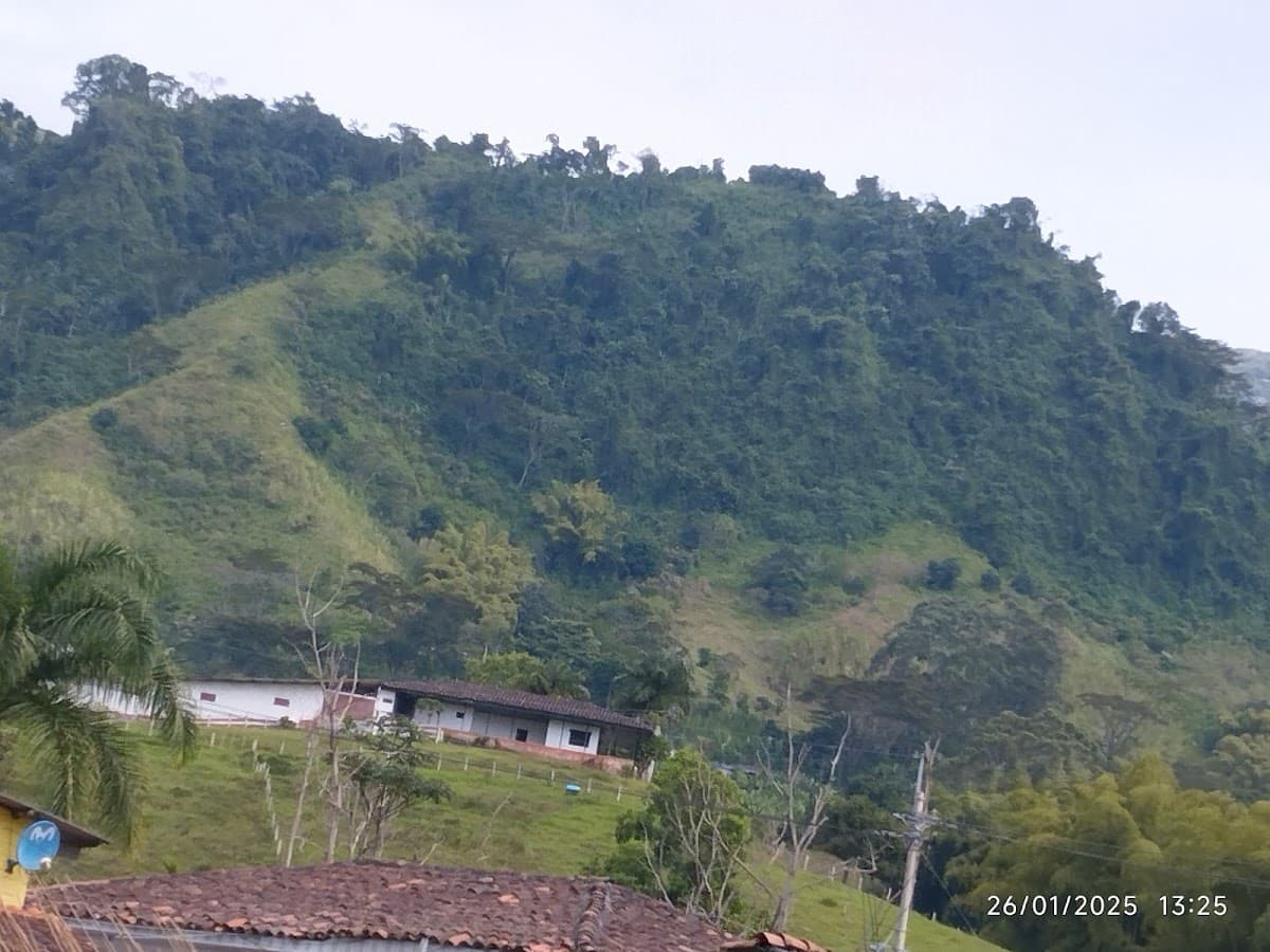 Parque El Oso — foto