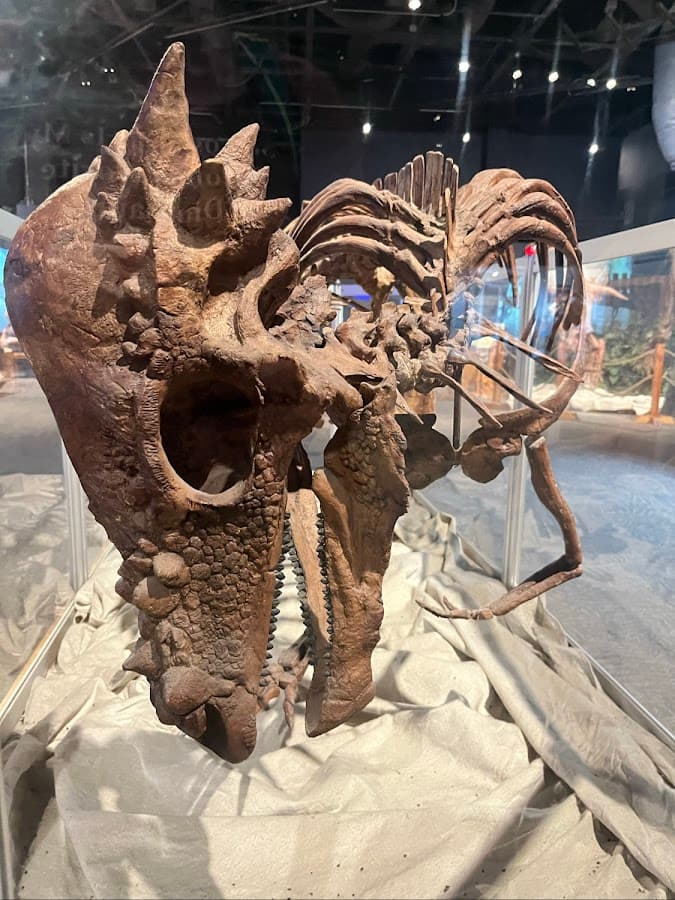 Orlando Science Center — foto