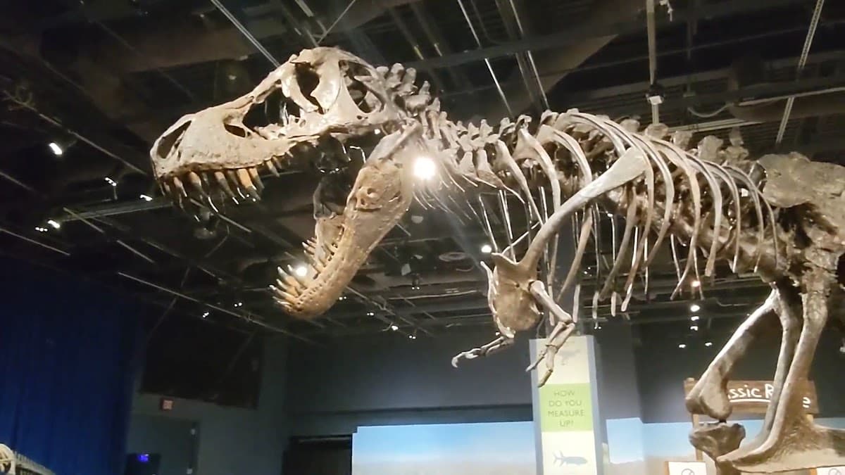 Orlando Science Center — foto
