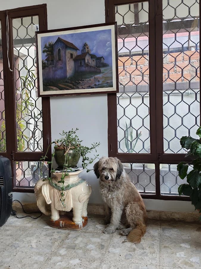 El Pueblito Hostel — foto