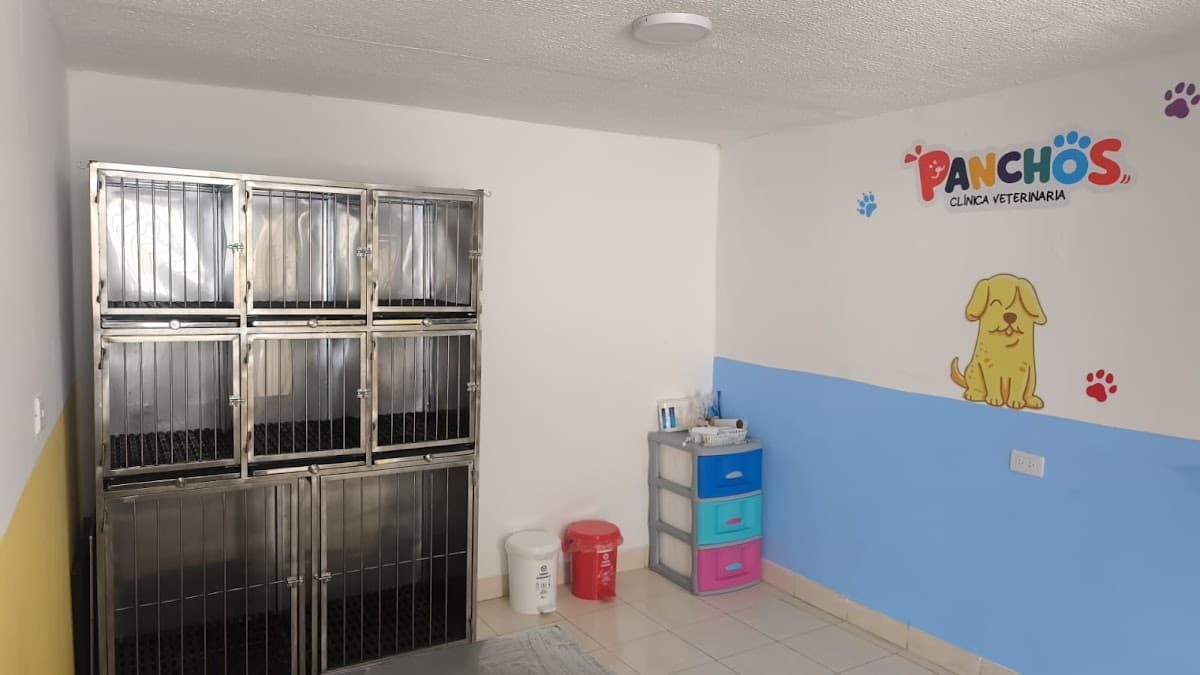Panchos clinica veterinaria — foto