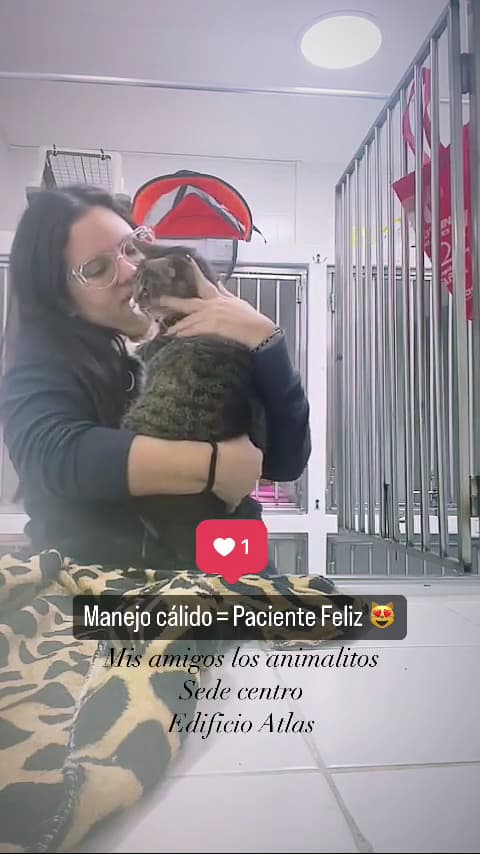 CLINICA MIS AMIGOS LOS ANIMALITOS CENTRO — foto