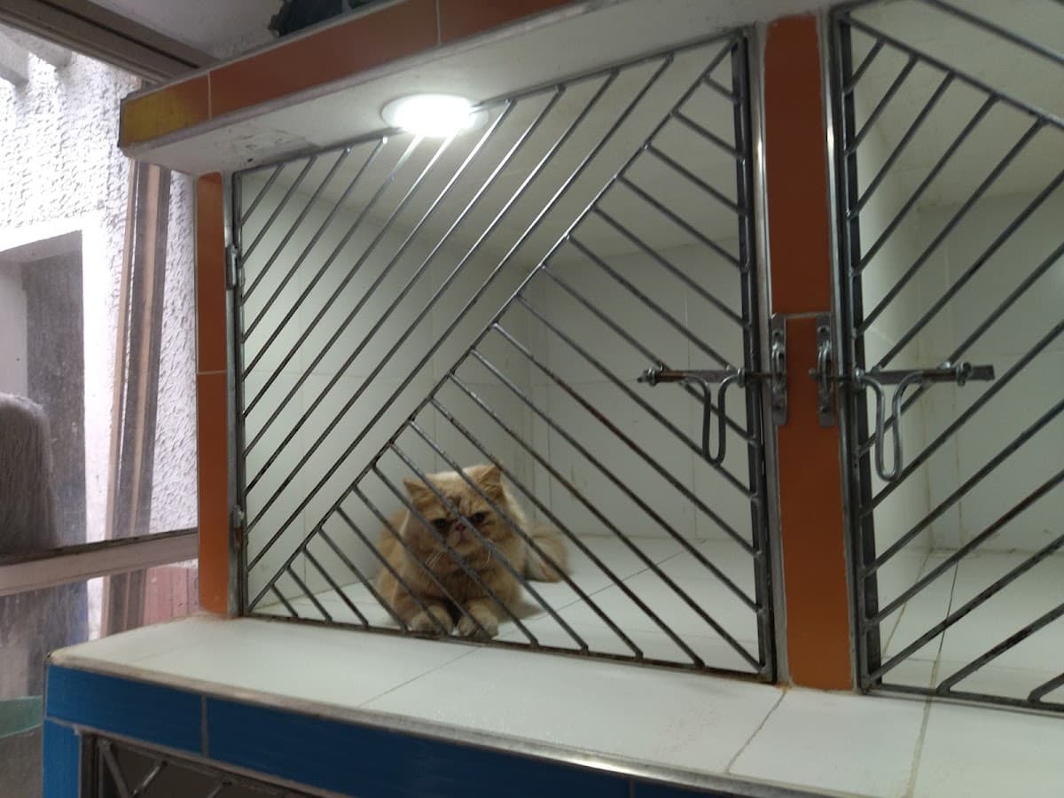 Veterinaria CIMVET — foto