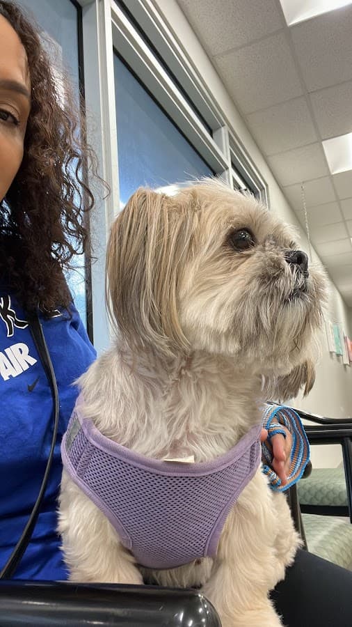 Southport Animal Hospital