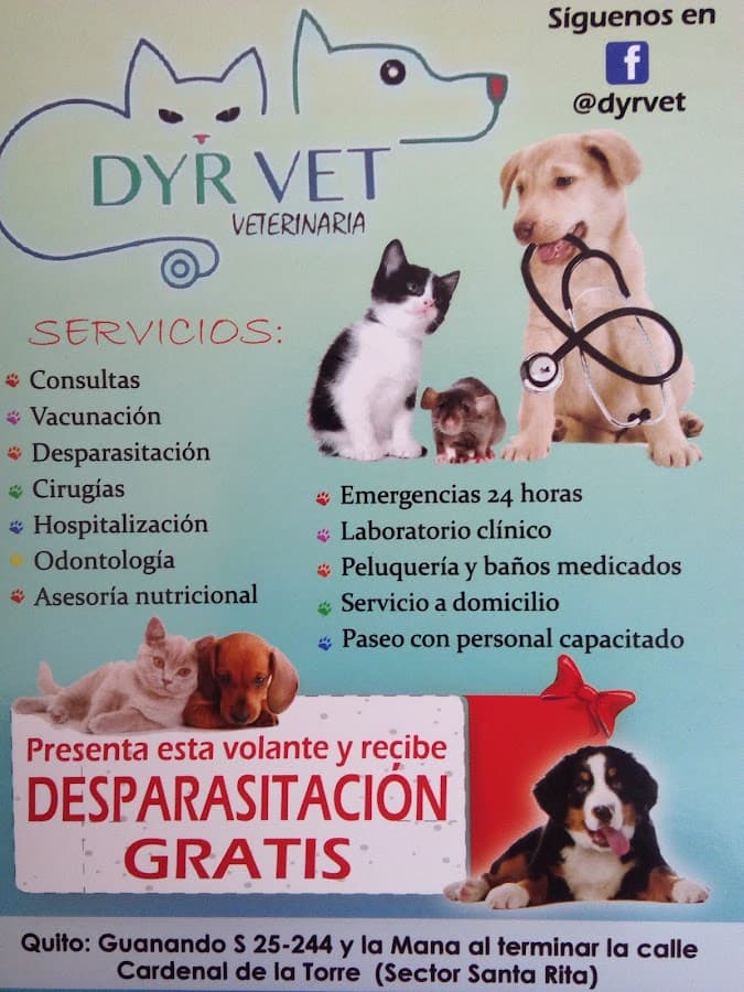 Veterinaria DyrVet — foto
