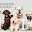 CONSULTORIO VETERINARIO MASCOTAS FELICES C.A
