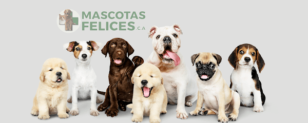 CONSULTORIO VETERINARIO MASCOTAS FELICES C.A — foto
