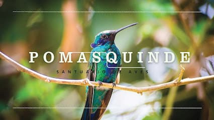 PomasQuinde