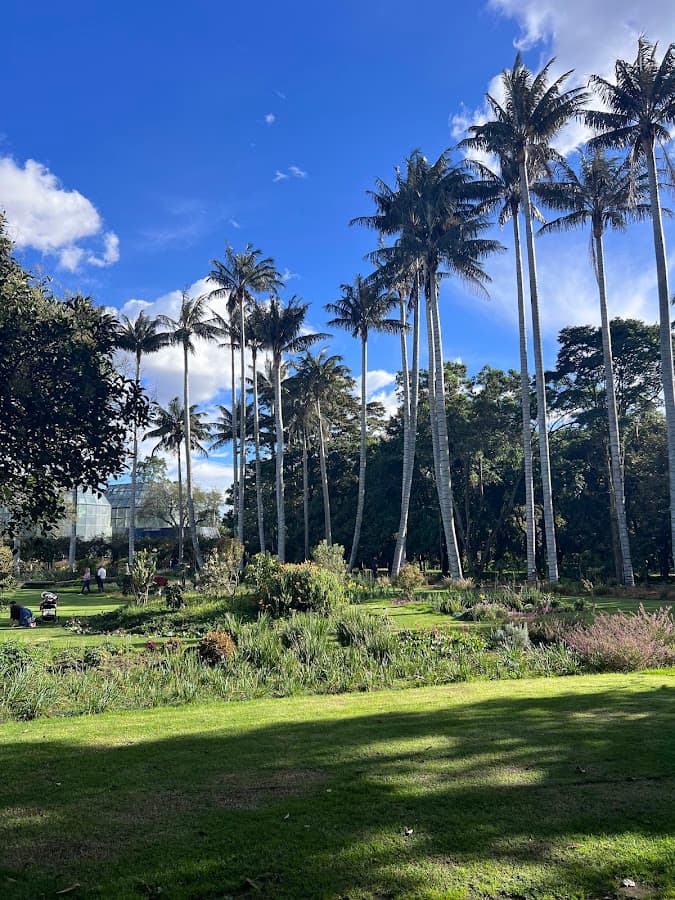 Jardín Botánico de Bogotá José Celestino Mutis — foto