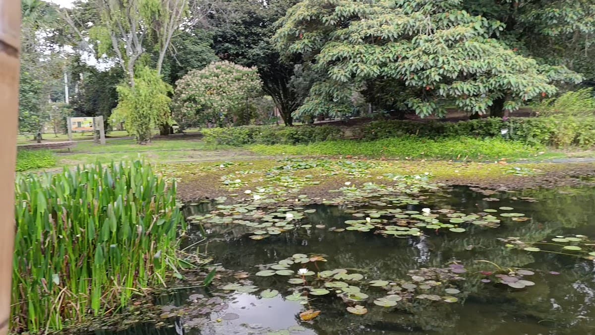 Jardín Botánico de Bogotá José Celestino Mutis — foto
