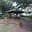 Parque