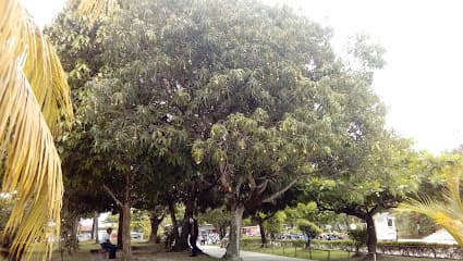 Ovalo Sol Naciente