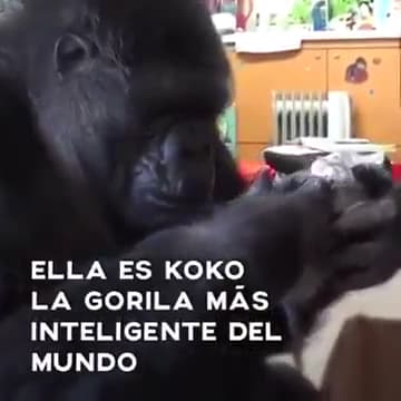 Parque Villa del Norte — foto