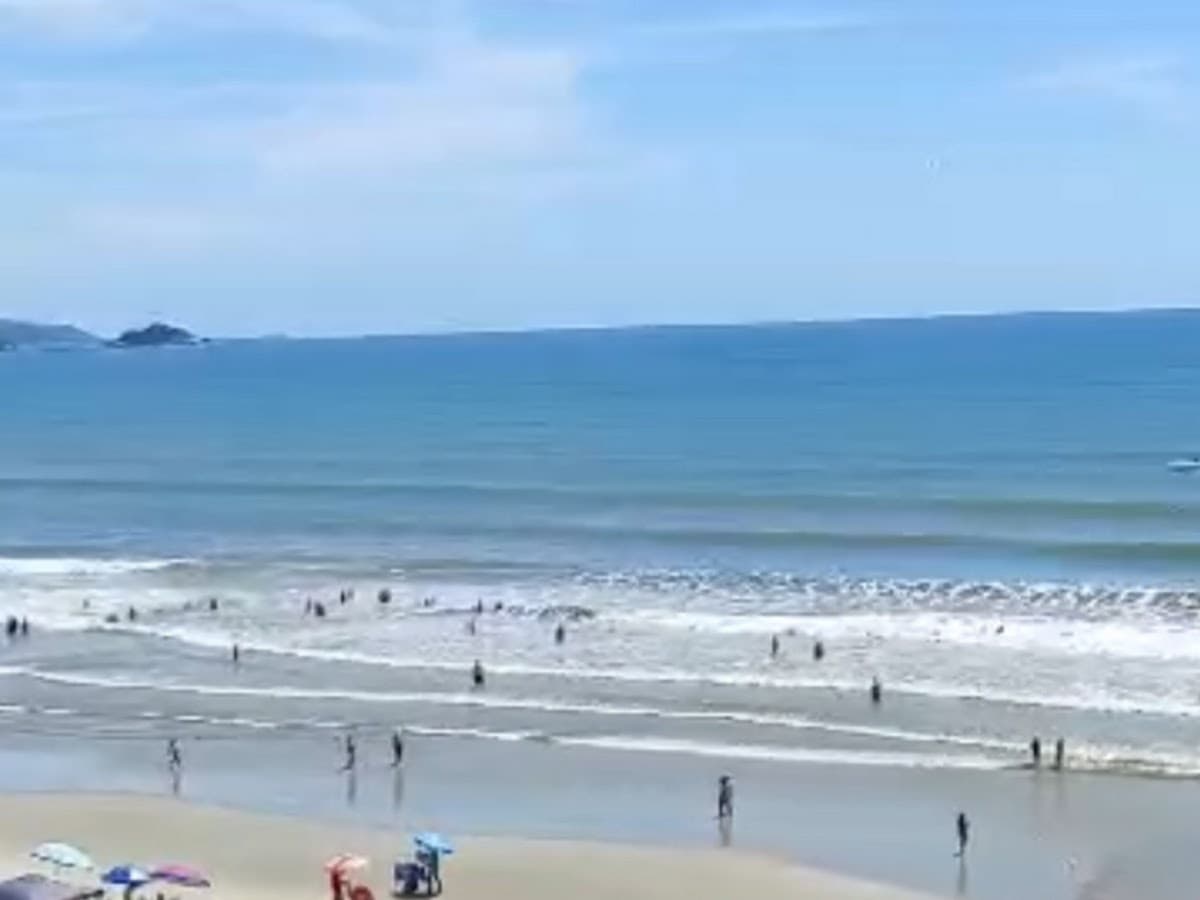 Estrela do Mar Turismo — foto