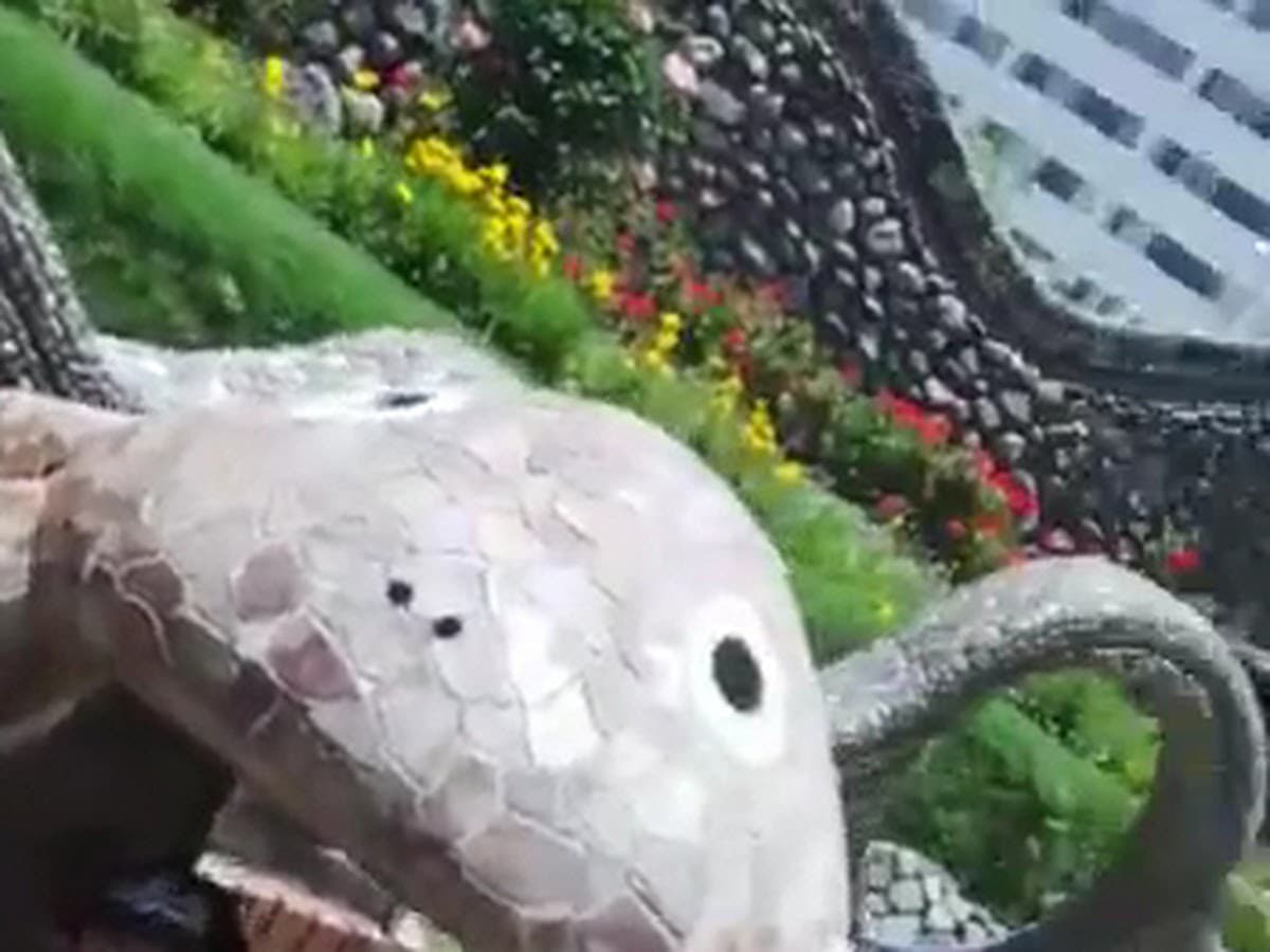 Parque Bolívar — foto