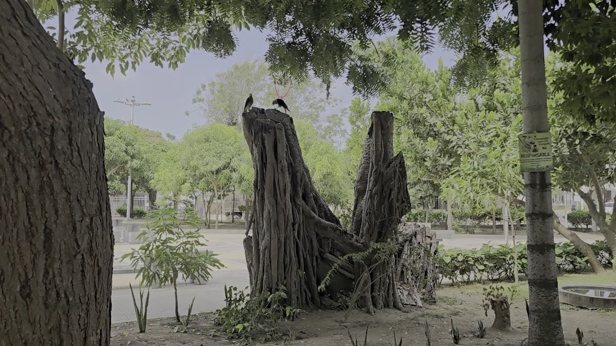 Parque Santo Domingo Savio — foto