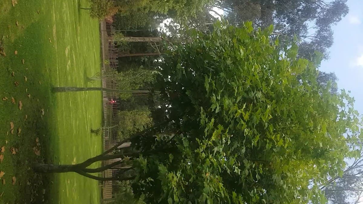 Parque Las Cuadras — foto