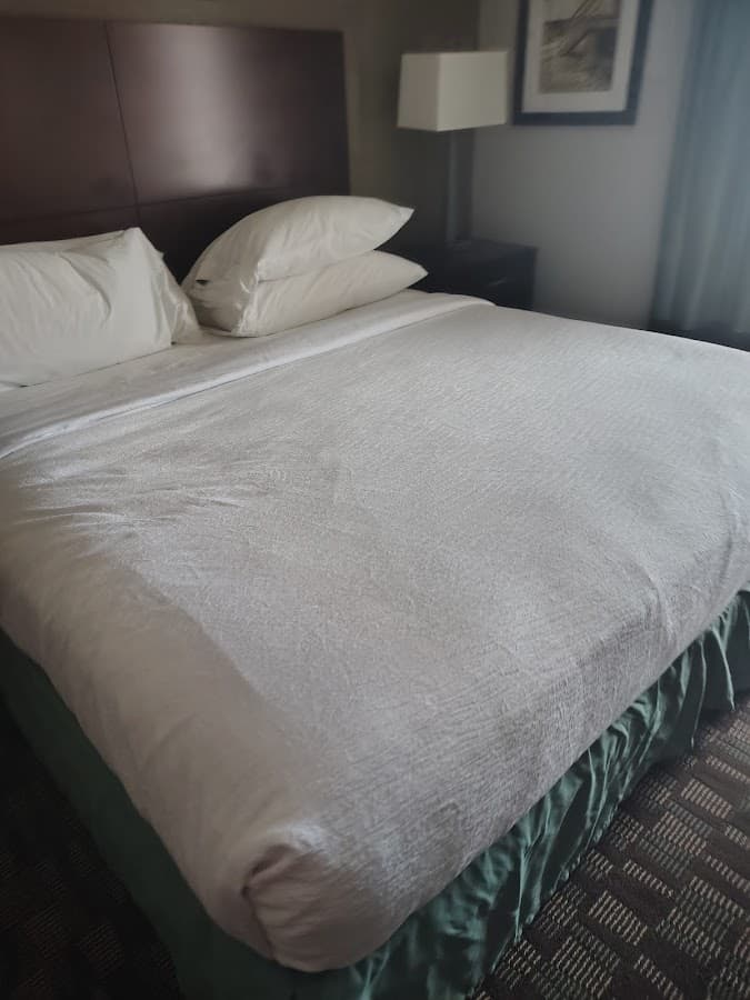 Embassy Suites by Hilton Jacksonville Baymeadows — foto