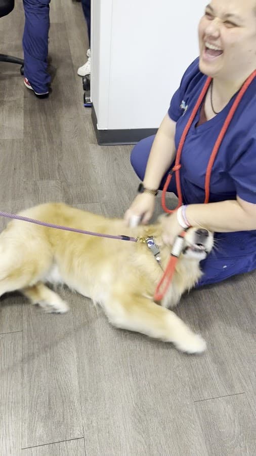 Tampa Veterinary Hospital — foto