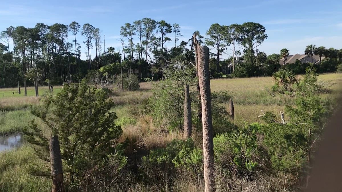 Castaway Island Preserve — foto
