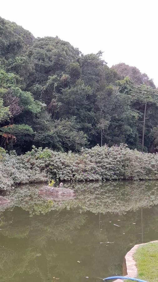 Parque Natural Municipal do Morro da Cruz — foto