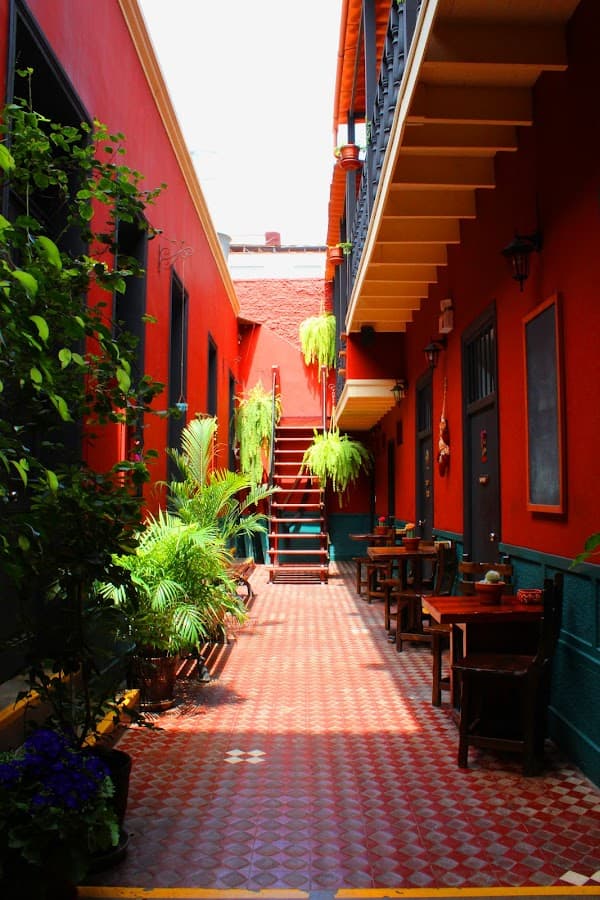 Kaclla, The Healing Dog Hostel — foto