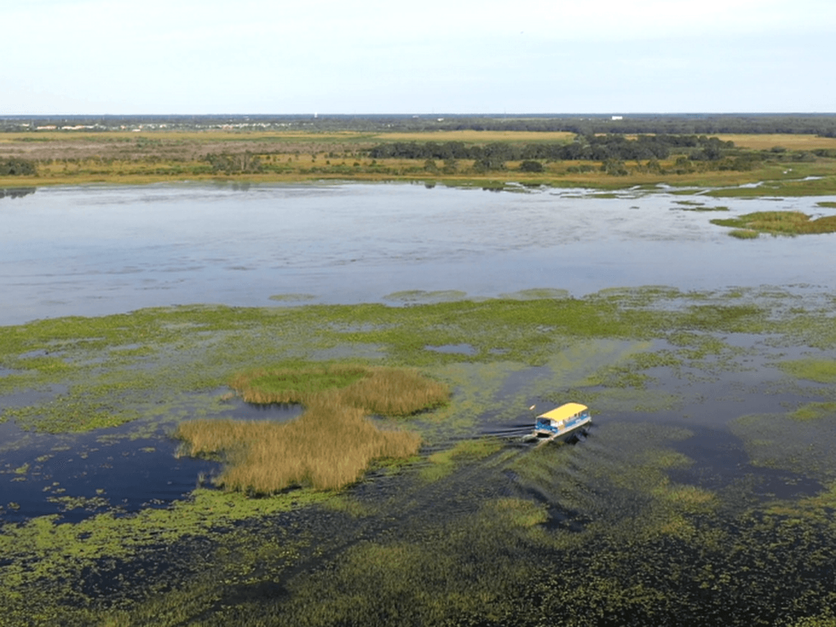 Central Florida Eco Tours — foto
