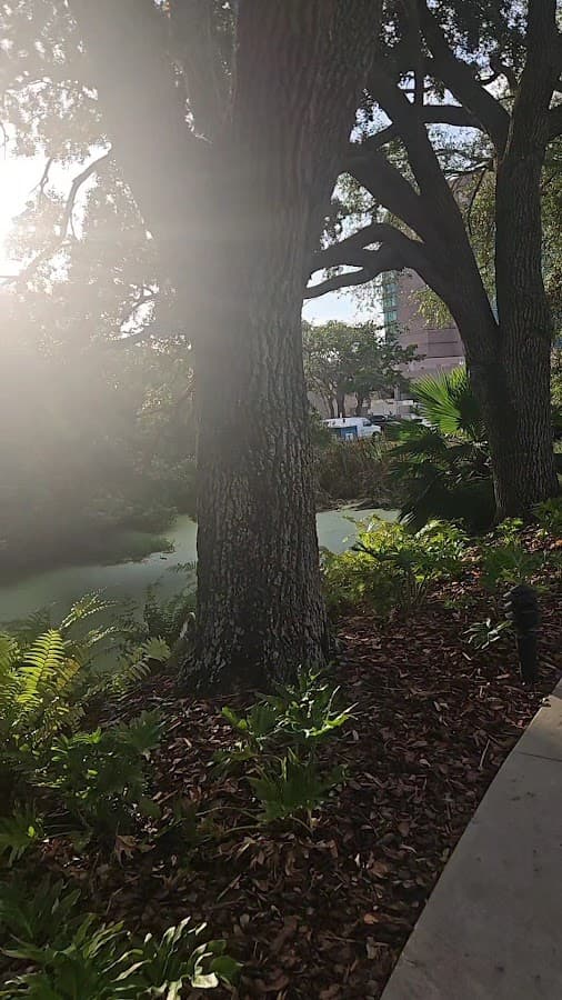 Grand Hyatt Tampa Bay — foto