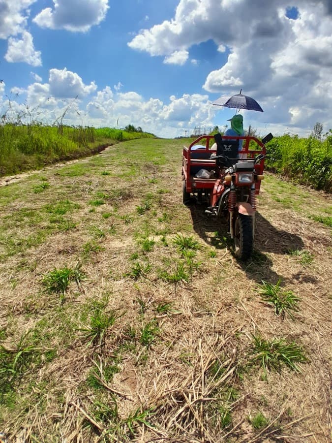 Hacienda el Mirador de Pucallpa — foto