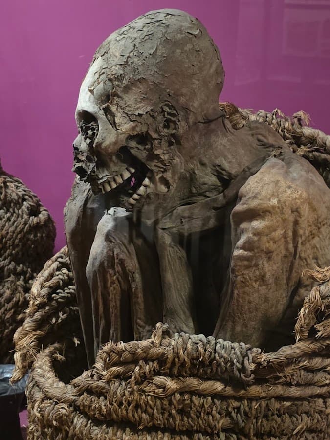 Museo Arqueológico de la Universidad — foto