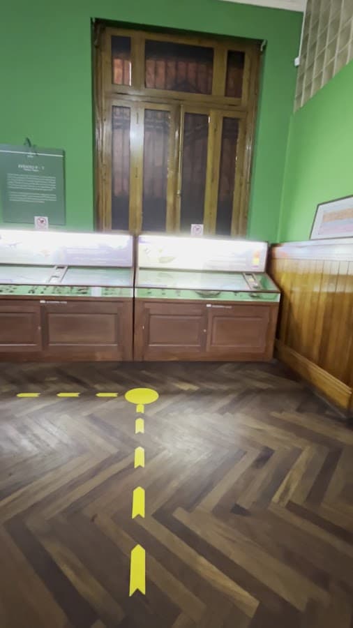 Museo Arqueológico de la Universidad — foto