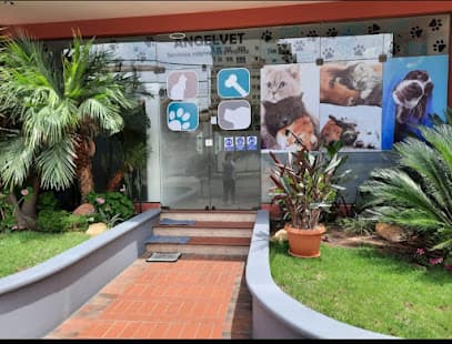 CLINICA VETERINARIA "ANGELVET" — foto