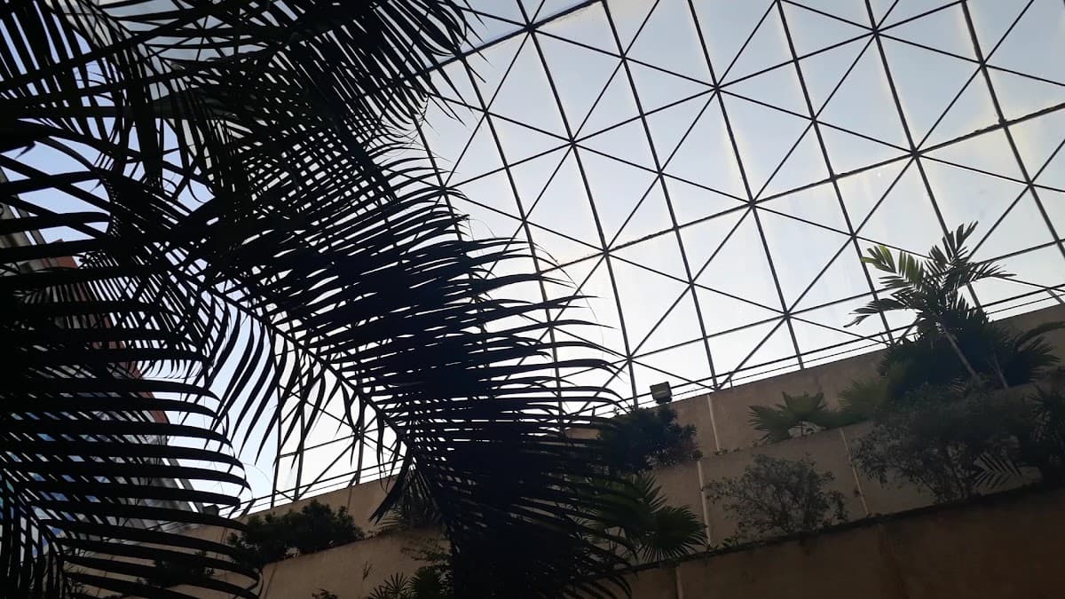 Ago Moda — foto