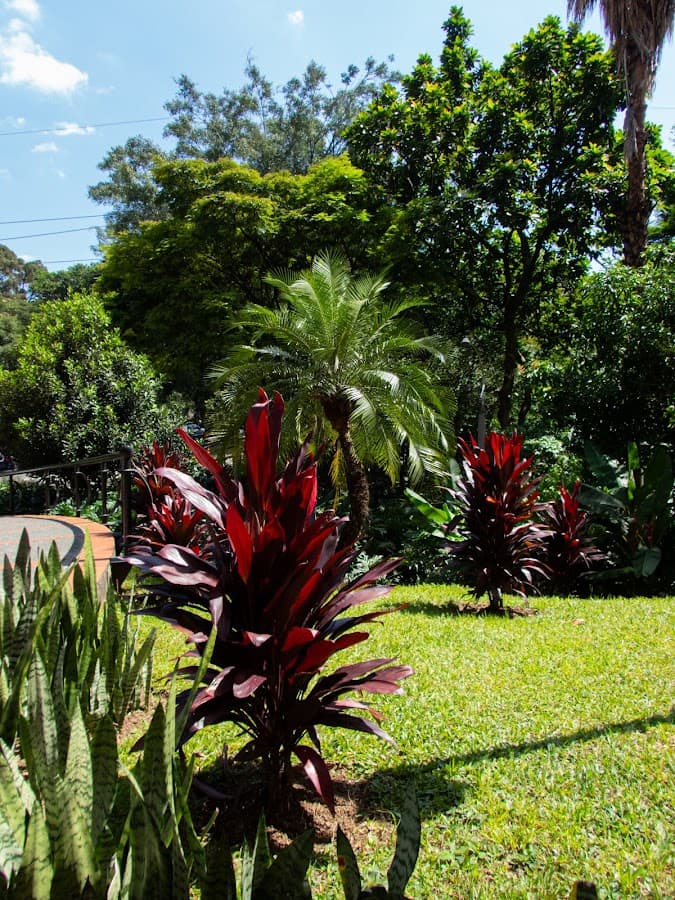 Hotel Dann Carlton Medellín — foto