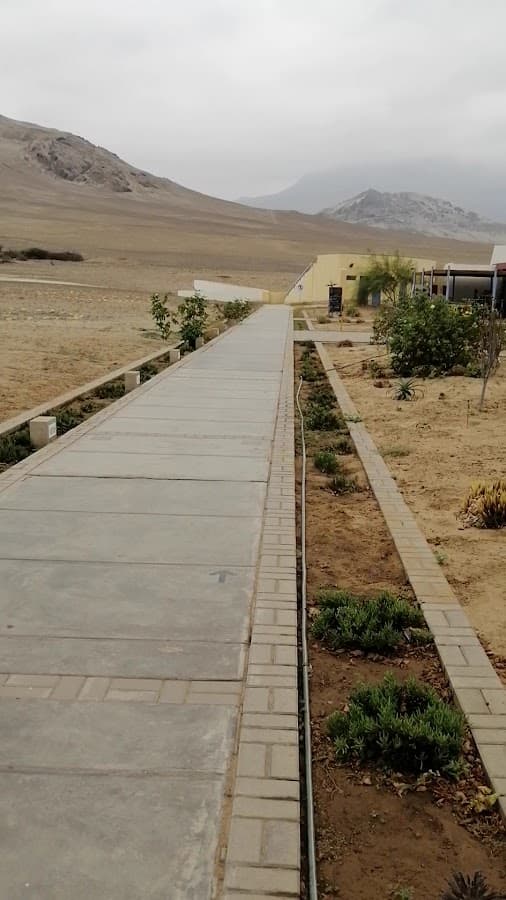 Museo Huacas de Moche — foto