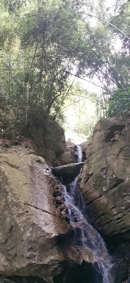 Qawana Reserva Natural — foto