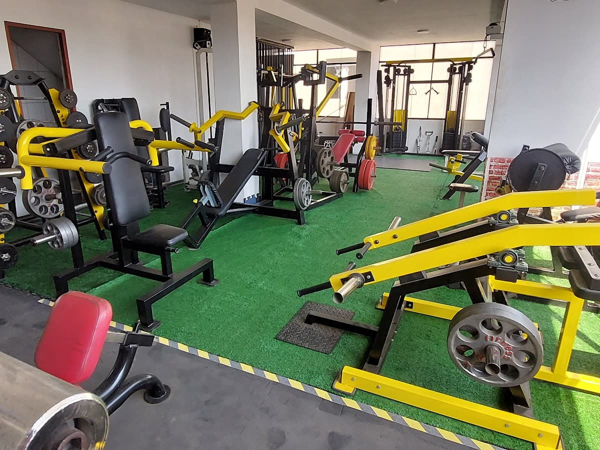 Wolf Gym — foto