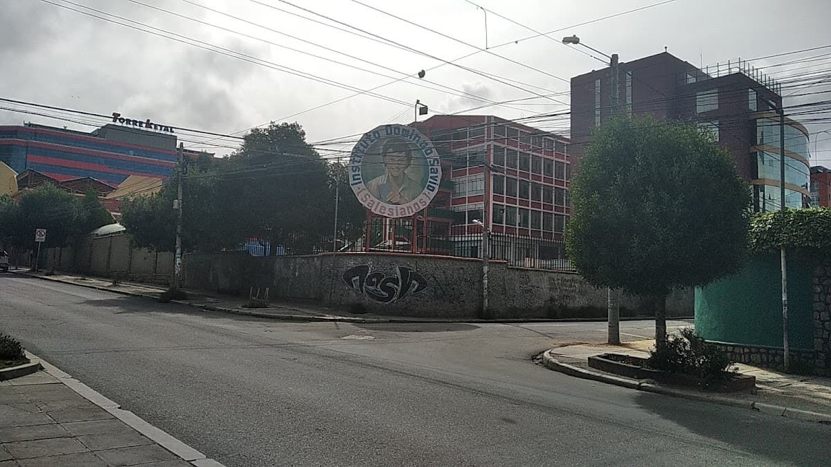 Instituto Domingo Savio