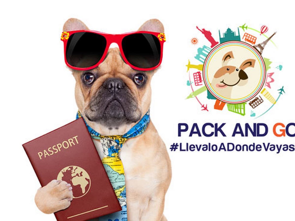 Pack and Go S.A.S