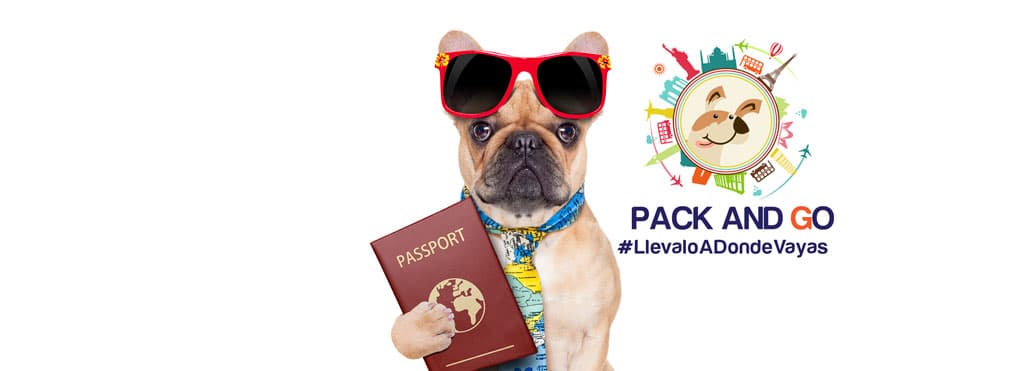Pack and Go S.A.S — foto