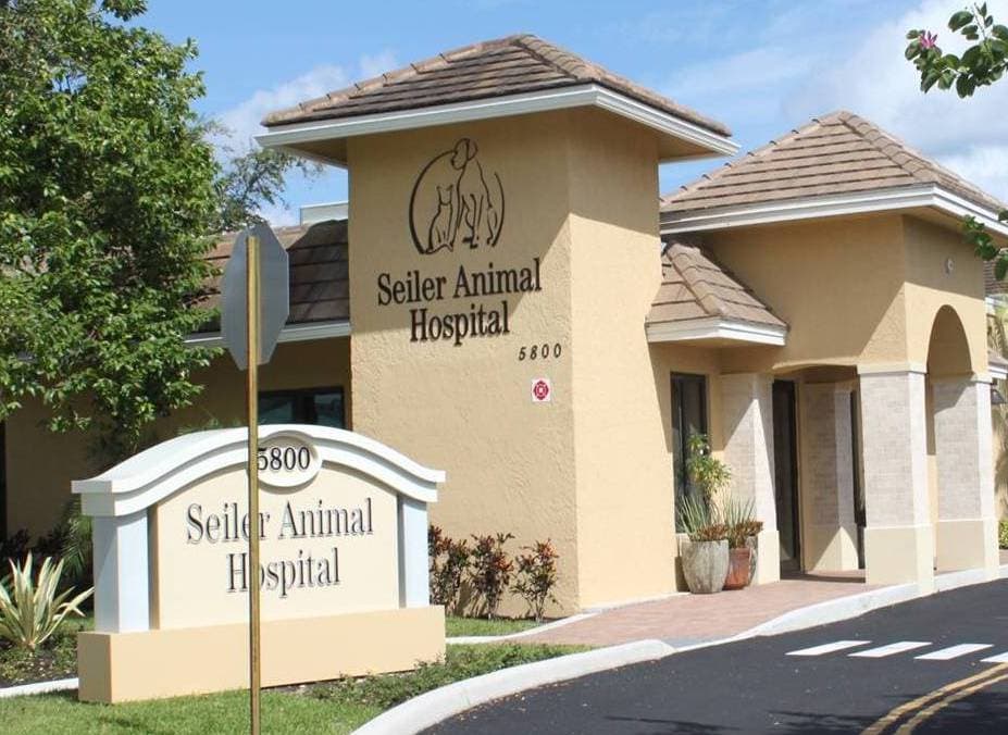 Seiler Animal Hospital — foto