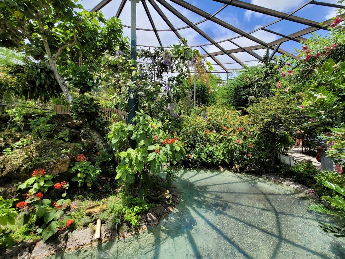 Butterfly World