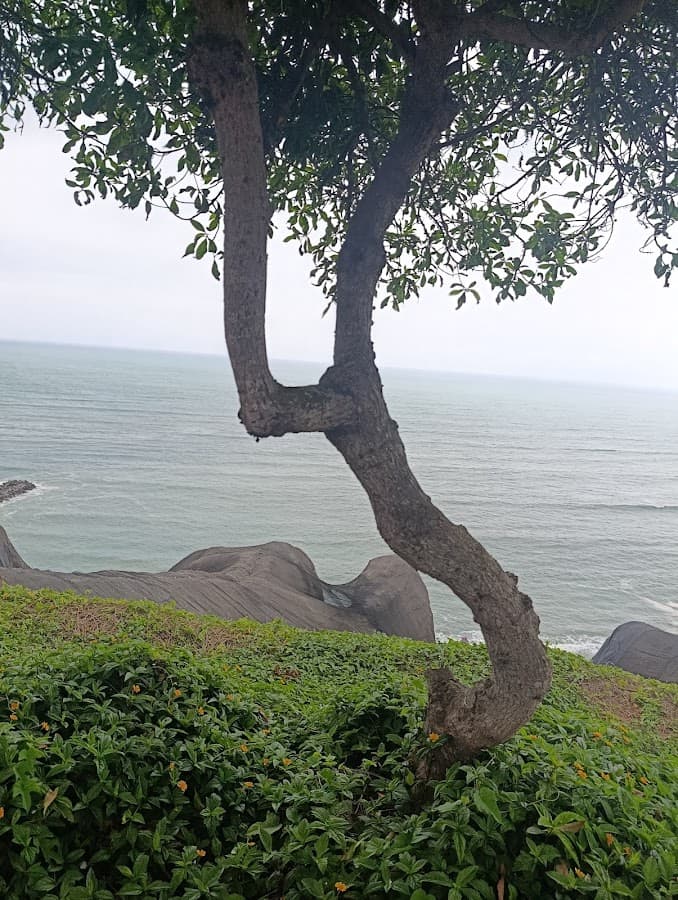 Lima Walking Tour — foto