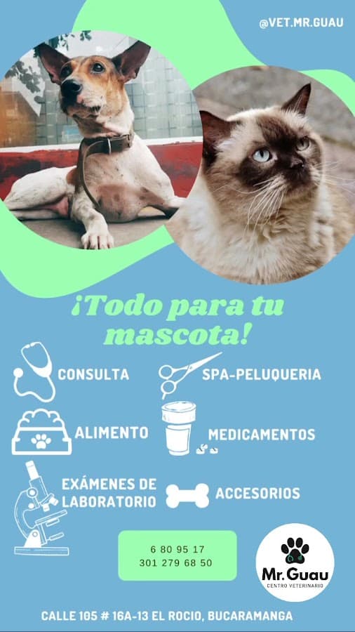 Veterinaria Mr Guau — foto