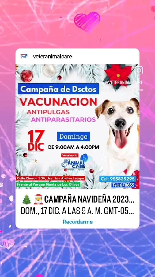 Veterinaria Animal Care — foto