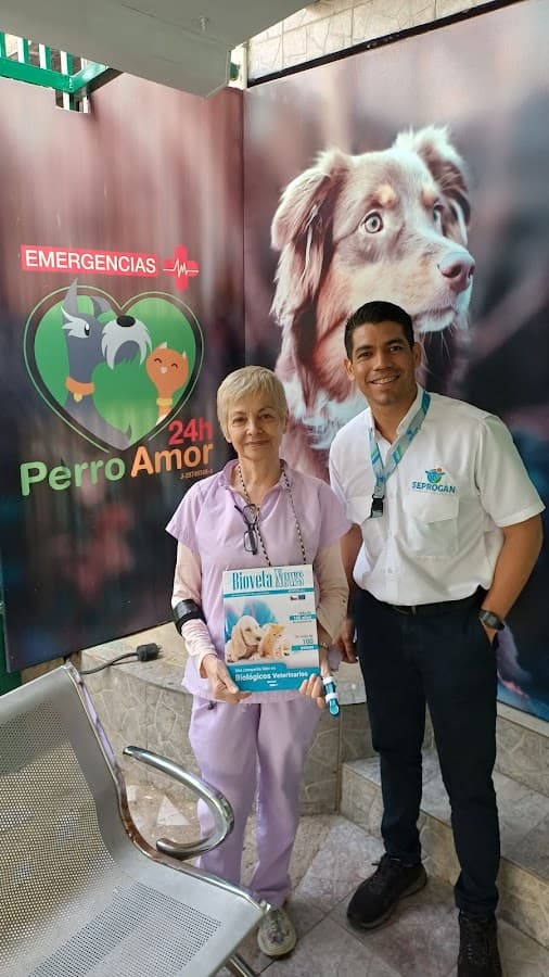 PERRO AMOR 24H Clinica Emergencias Veterinaria Caracas — foto