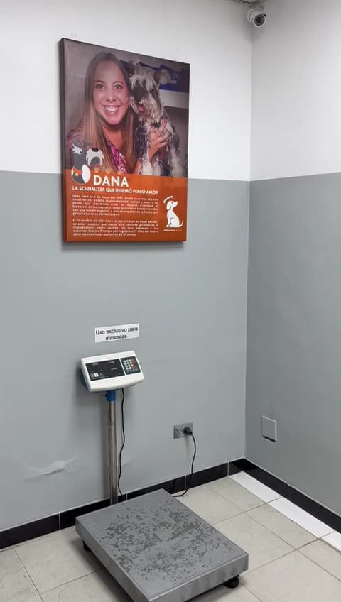 PERRO AMOR 24H Clinica Emergencias Veterinaria Caracas — foto
